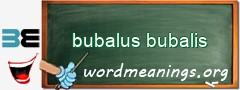 WordMeaning blackboard for bubalus bubalis